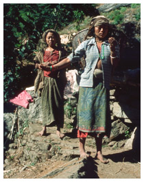 Nepalese villagers